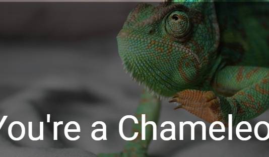 You're a Chameleon