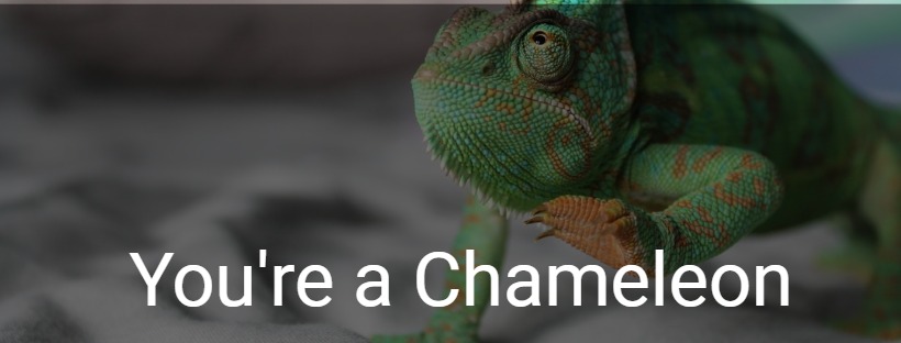 You're a Chameleon